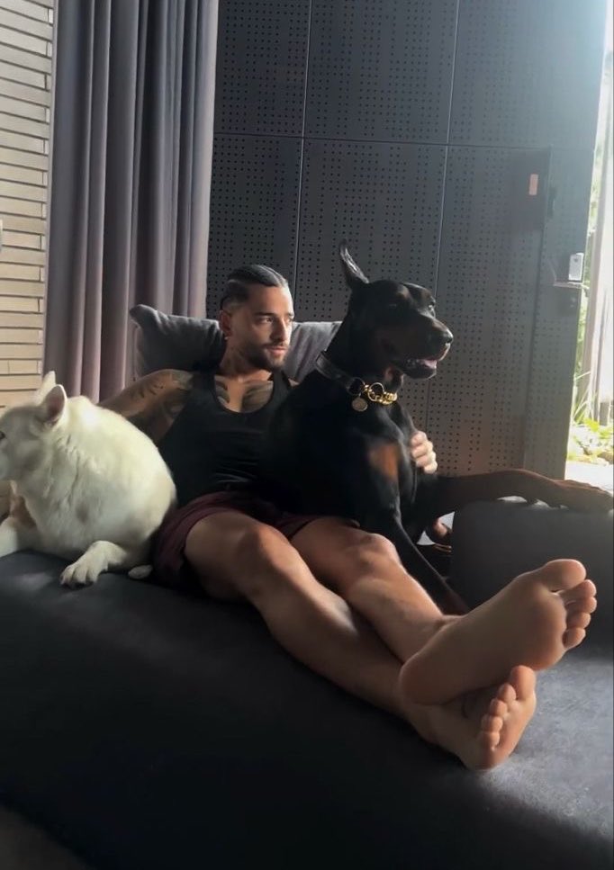 daenesyr's tweet photo. oohh maluma https://t.co/a0AHe234Ov