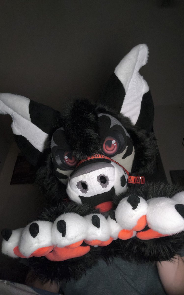 CrowleyMalaMute's tweet photo. Who's brave enough to befriend a HellHound https://t.co/mcSVQjK23c