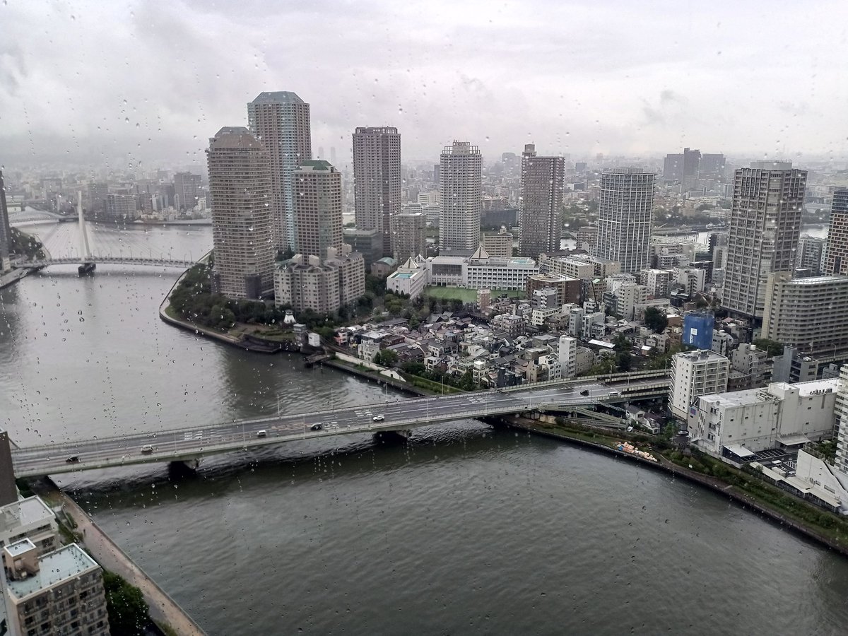 MidoryFunkJr's tweet photo. 庶民の皆さま、見下ろしてすみません https://t.co/h1FZJHl5uI