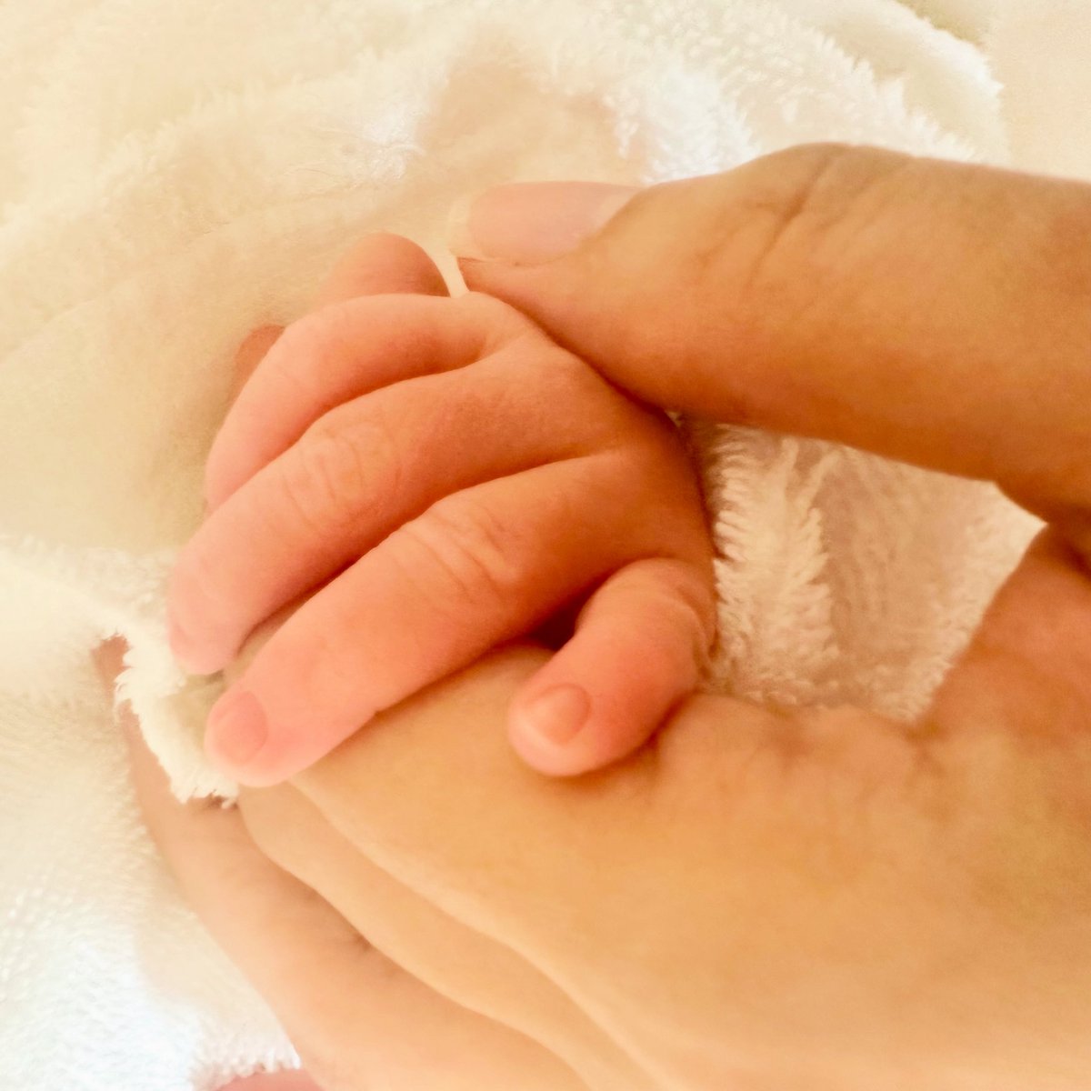 0362kaoru's tweet photo. 先日、第3子を出産しました！
無事元気に産むことができてホッと一安心。
あっという間に過ぎてしまう、もちもちふよふよの時期を楽しみつつ、できるだけたくさん休んでおこうと思います。 https://t.co/tdYbYtGh9i