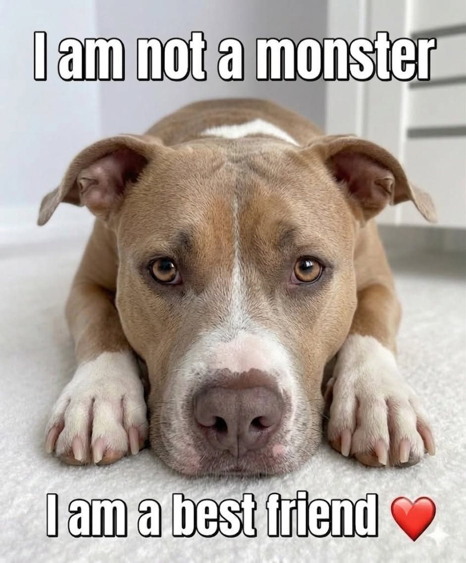_XDogs's tweet photo. https://t.co/LUfccHFR40