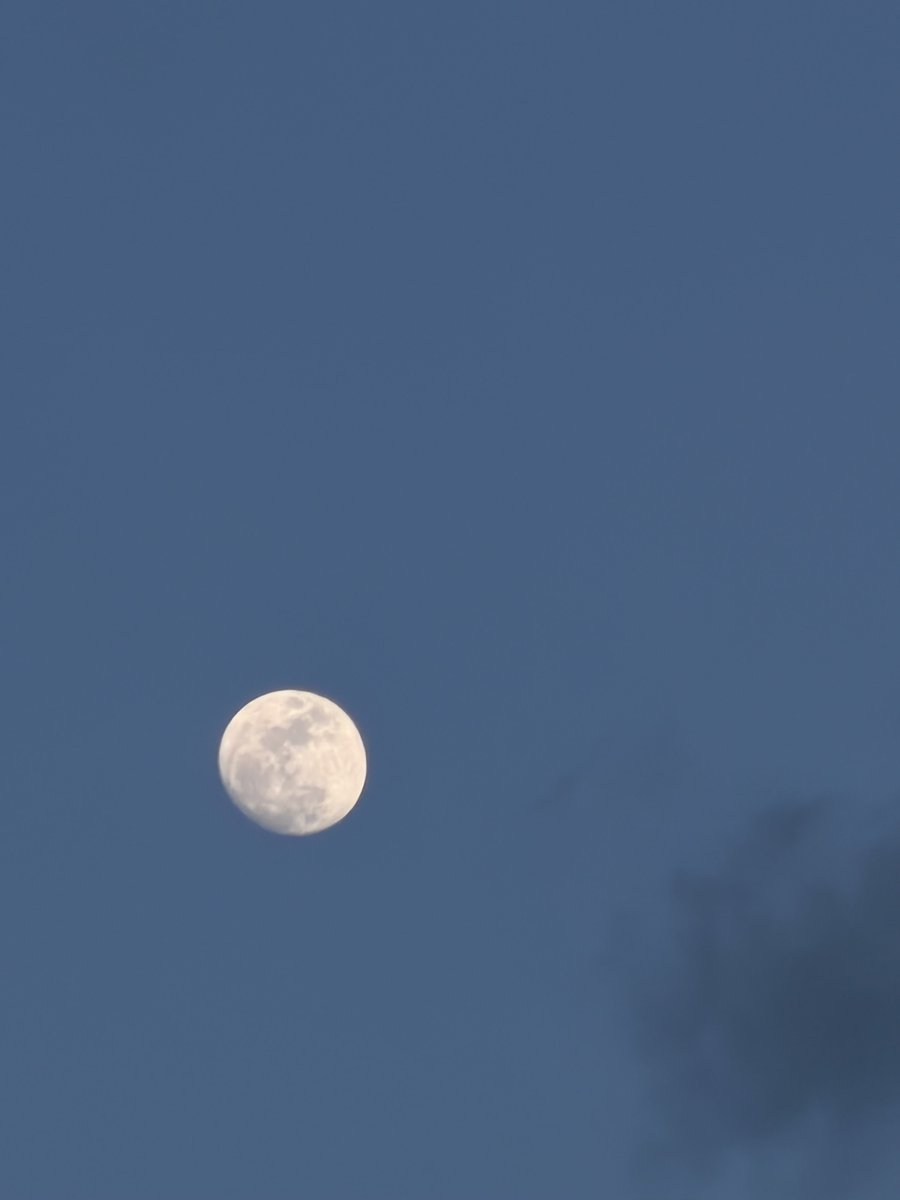 maydubon's tweet photo. 🌕 https://t.co/lNNlyBVtnK