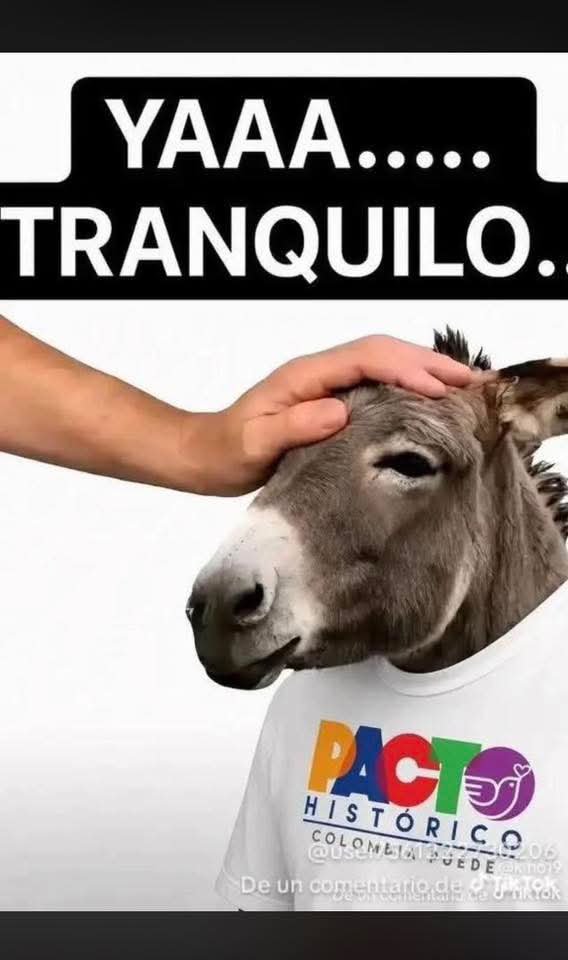 augusto6512's tweet photo. @AndresLopez1327 Día 7 y este hpta ladronzuelo, chirrete, bazuquero sigue llorando ??? Cállate hpta que está jugando la selección de Abelardo de la espriella y quítate esa camiseta bamba , bobo hpta jajajajj https://t.co/VXirDTTS0s