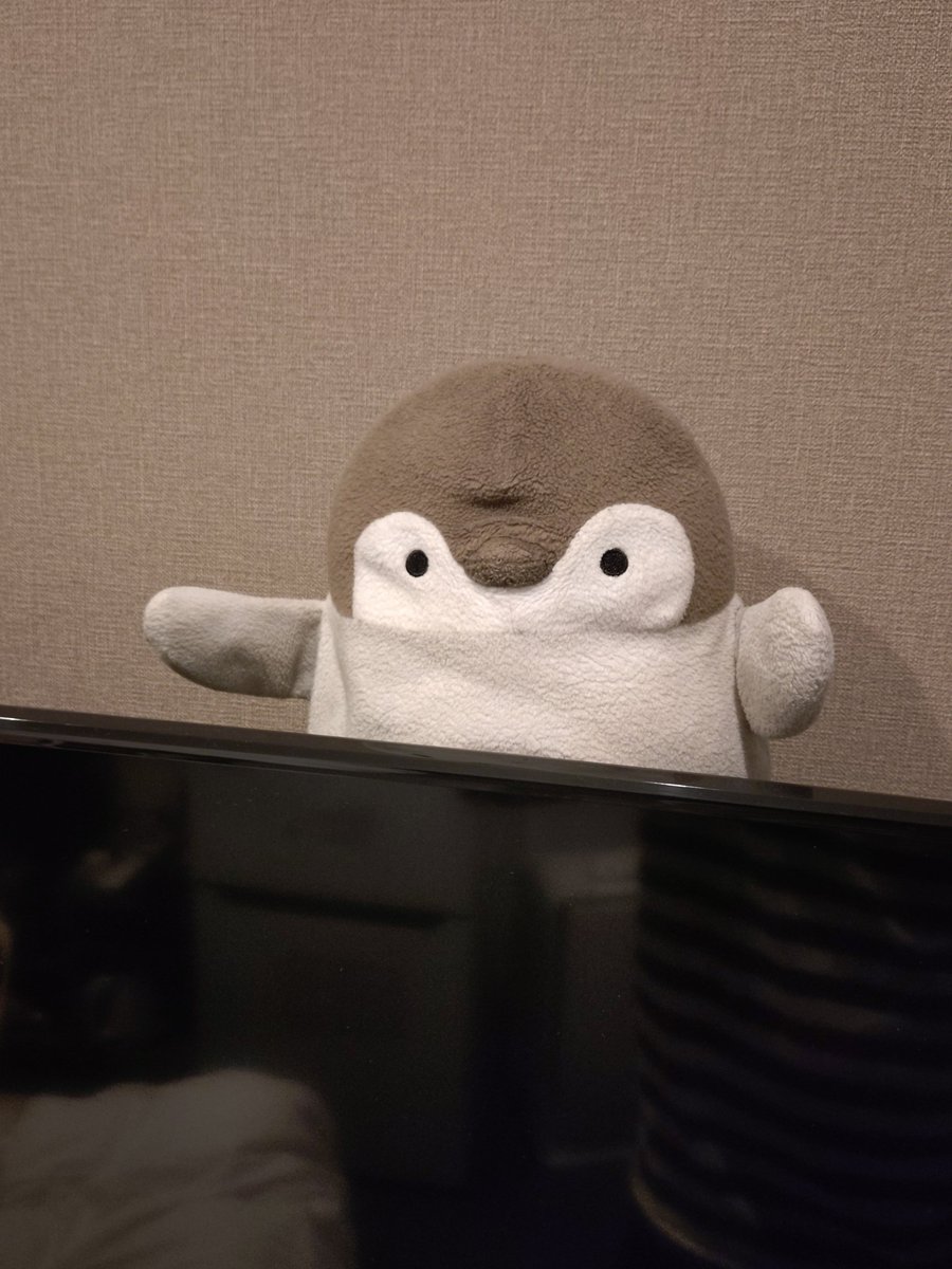 torapenguinchan's tweet photo. おすしといえば！ https://t.co/H8aam2q1u3