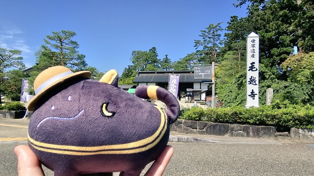 Numel_man's tweet photo. 平泉の毛越寺だよバステトちゃん
お池やアヤメのお花が綺麗だね🪻
緑豊かな風景で、風もとっても気持ちいい…🎐
「ｲｲｹｼｷﾔﾅｧ…」
#217find #ばすてとさんぽ https://t.co/moPgr9hsEy