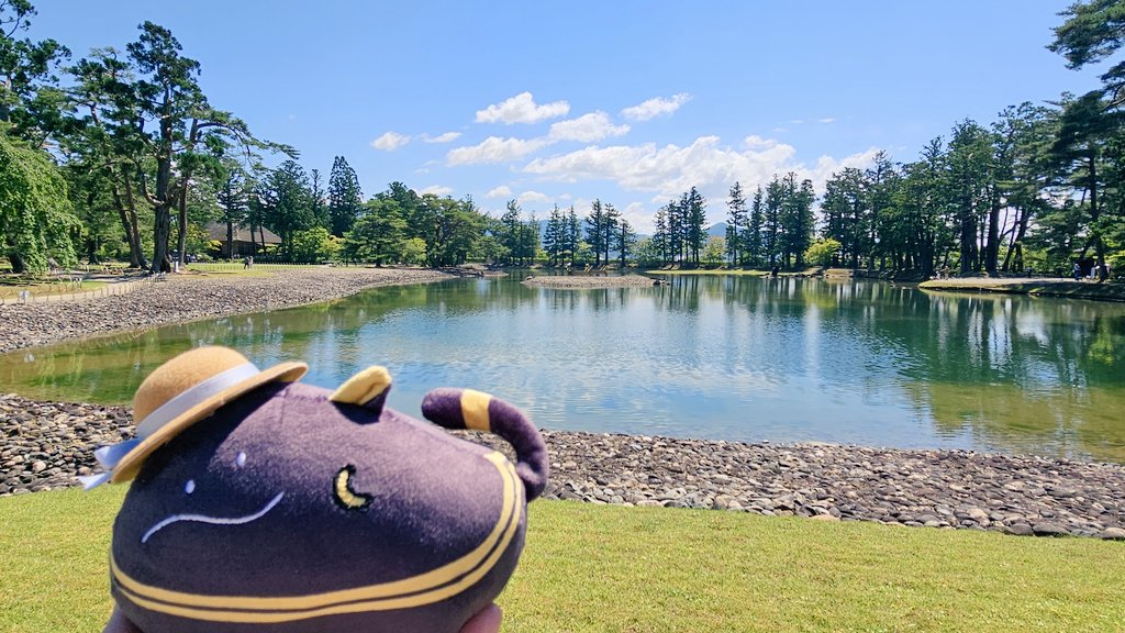 Numel_man's tweet photo. 平泉の毛越寺だよバステトちゃん
お池やアヤメのお花が綺麗だね🪻
緑豊かな風景で、風もとっても気持ちいい…🎐
「ｲｲｹｼｷﾔﾅｧ…」
#217find #ばすてとさんぽ https://t.co/moPgr9hsEy