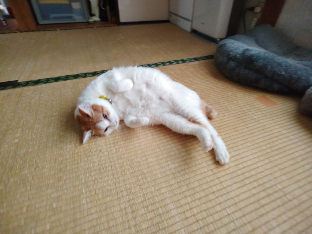 crazyrockjin's tweet photo. @lzsXvyCr3CVs2IV オハニャ～🤗 https://t.co/g0mNLQBYRZ