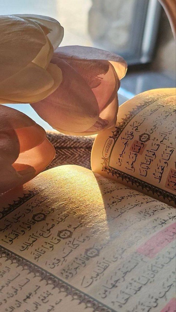 ma___alr's tweet photo. من عجائبِ الوتر
أنك تأتي بهِ في ظُلمةِ الليلِ سرًّا،
فيُضيءُ لك الحياةَ في العلنِّ.
حتي يطلّ الفجر 
فجرٌ أطلَّ فـ رفرفت أرواح 
ونما لـ قلب اليائسينَ جناحُ .💕🩷

#الوتر 
#صلاة_الفجر 
#قروب_الملكي_للسوالف https://t.co/Dtpx0oUf26
