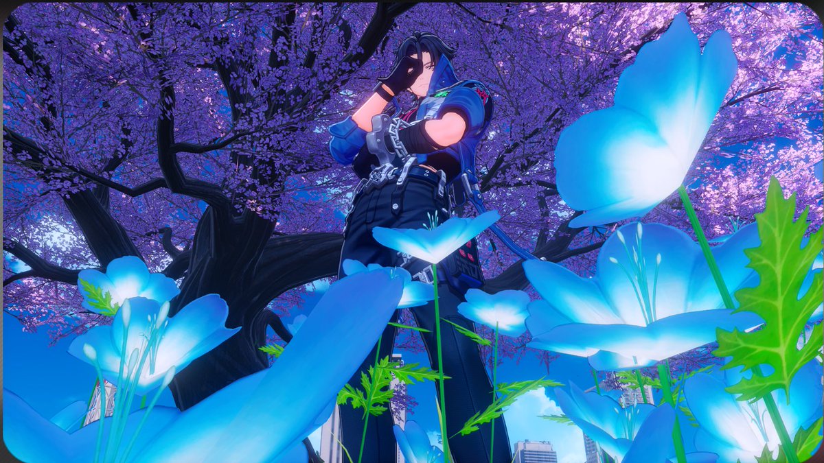 pre_destiny's tweet photo. nunca pensé que estaría una hora sacándole fotos a este precioso *-* https://t.co/yv4xTeChjT