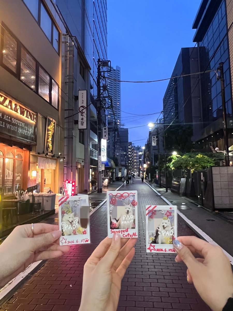 shirfnt's tweet photo. 1st timeサモエドカフェ🐶
超可愛いいいい🩷!!!!!!
昨日ぽあくんとココアくんいた!
本当に可愛すぎ..😫😫❤️
ps あおばくんは先輩にとして支店へ転勤:)
ps2 店員さんも優しすぎ、楽しかった🥹
#WOLFHOWLHAMONY
#WHH_ココニイル #WHH_PLEASE
#WHH https://t.co/uuKzehKR5y