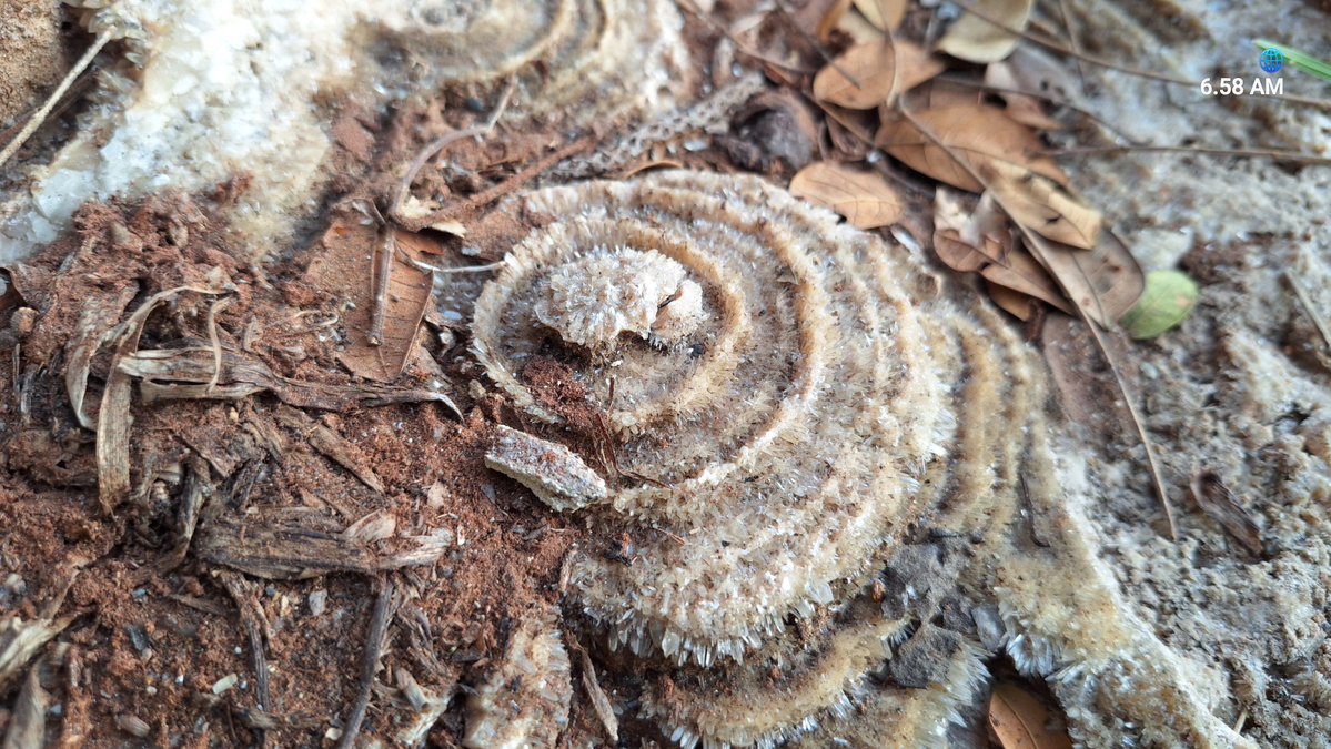 infomitigasi's tweet photo. Keren ya batunya🥰
Karangsambung Kebumen memang surganya batuan tua... tidak salah bila menyandang Geopark... https://t.co/rthLqtatr2