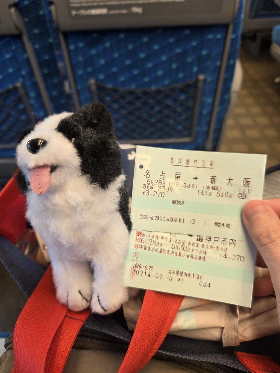 sumika521's tweet photo. 今日はunique神戸😊
初めて行く場所で楽しみすぎる🫶 https://t.co/pK0xHOHgQd