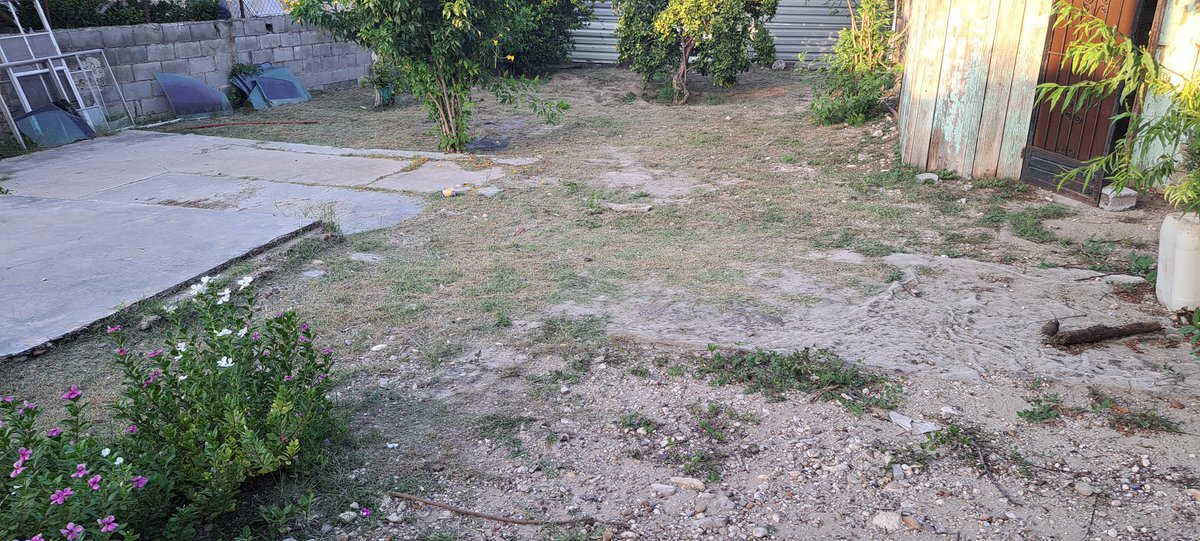 JorgeJaime_1's tweet photo. Llegara a mi casa a descansar quisiera pero no es asi  hoy me toco limpieza a el terreno estoy buscando padrinos que me apoyen con un peso con peso para alimento productos de limpieza bolsas para basura etc en mi perfil mis datos    o en el  primer comentario https://t.co/CjLwkHTkUI