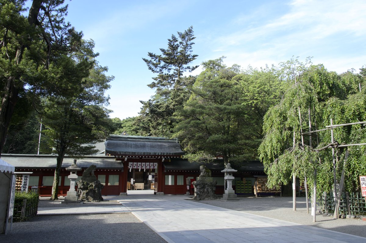 ookunitama_'s tweet photo. 大國魂神社に伝わる七不思議その4「境内の鳥類」
大國魂神社の境内に生息する鳥類は、決して本殿等の社殿に糞を落とすことはないとの伝説です。
#府中 #神社 #大國魂神社 #七不思議 https://t.co/uecr70r5Zx