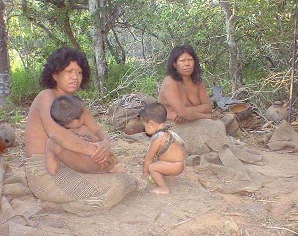 someguy5676's tweet photo. @CloverKitt16901 @sassafrashunter @ZoomerHistorian Unmixed South Americans are horrific. The attractive ones are a high European admixture. https://t.co/rDzvCEA0va