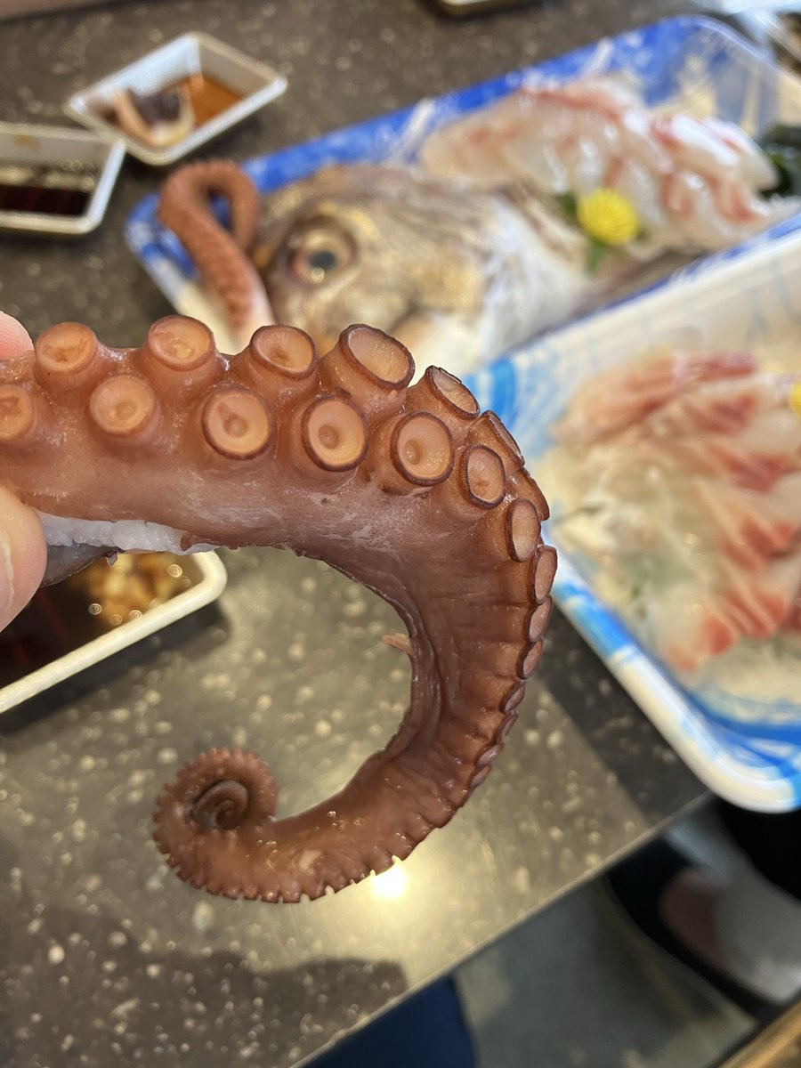 zan_sheen's tweet photo. おはようございます
市場で淡路島の地ダコを食べてます https://t.co/xjHakttlIA