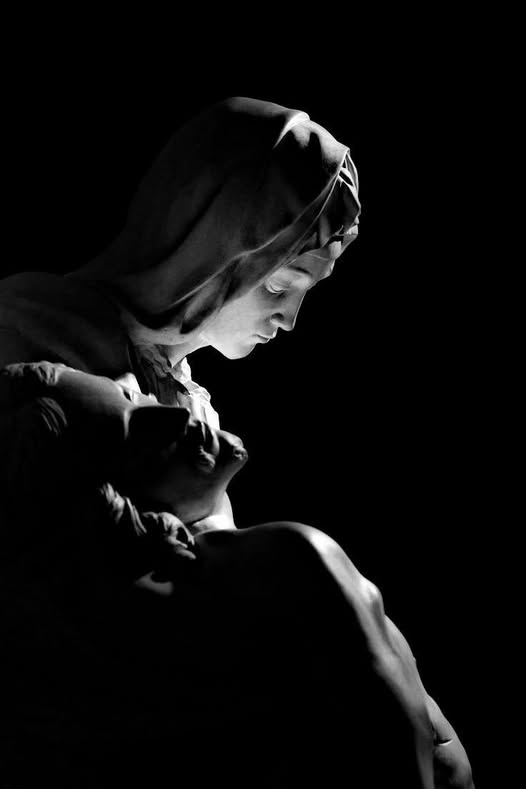 unseglar's tweet photo. Los dolores de Jesús fueron físicos y morales; el dolor de María no fue físico, sino moral, y no se limitó al momento de la Pasión. Cuando el arcángel Gabriel anunció a María que concebiría al Salvador. Le hizo comprender también cuáles y cuántos serían los padecimientos que https://t.co/1zmUICJKqu