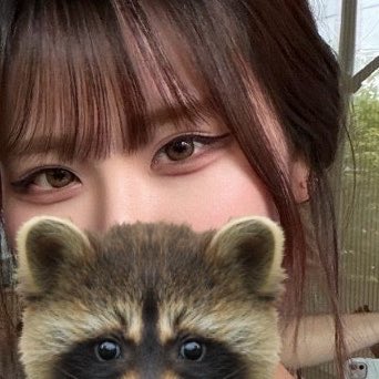 우당이 tweet media