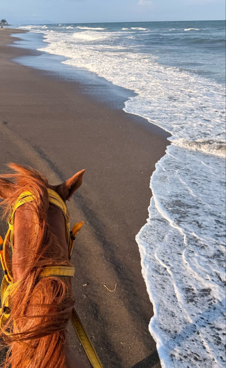 4Bu_n's tweet photo. 🐎 🌊 https://t.co/xPBYO4Xu3N