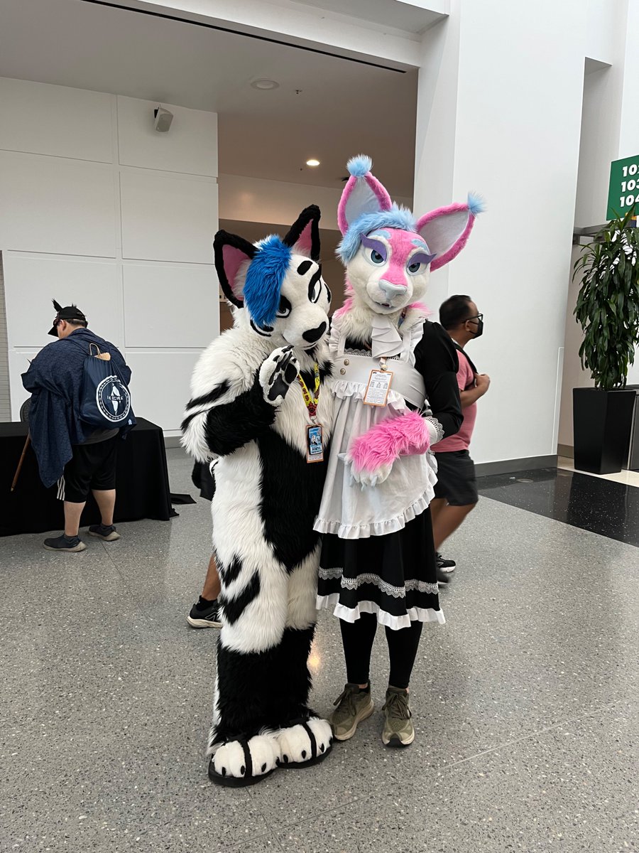 StitchFox1's tweet photo. More pics from AFC 2025, now Anthro SoCal. https://t.co/DSAnVMFoHG