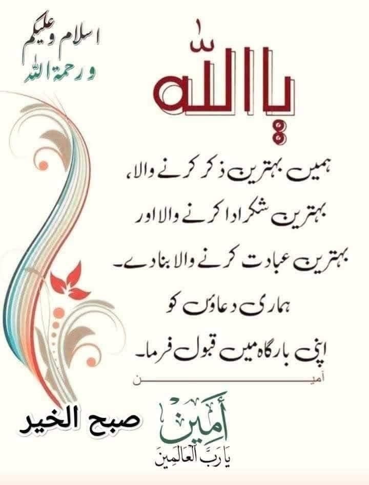 Naila Chowdhary tweet media