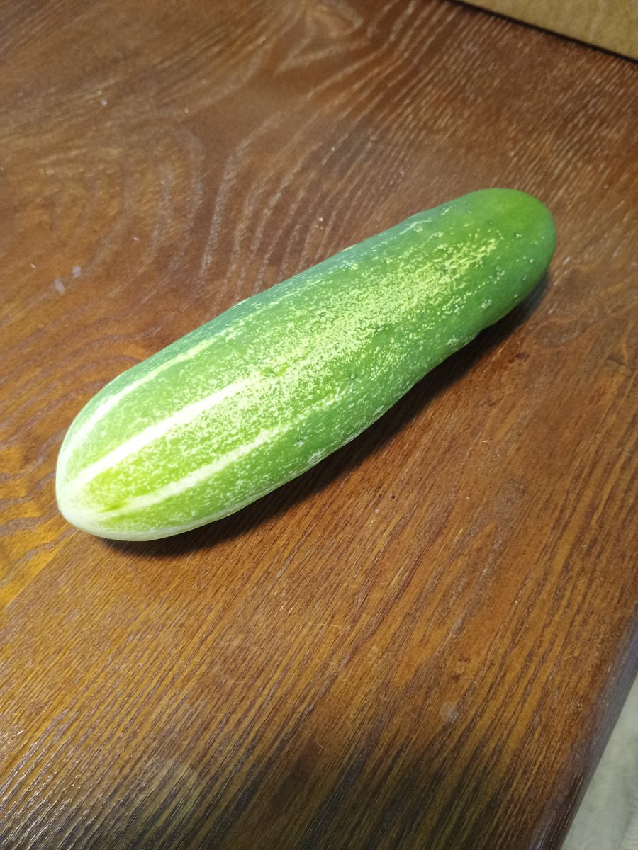 ThorThunderham's tweet photo. The first cucumber I harvested. It's a little overripe because it was buried among the vines and I didn't realize it was growing!! I'm still Quite Pleased with this. https://t.co/a4RuDhsC9G