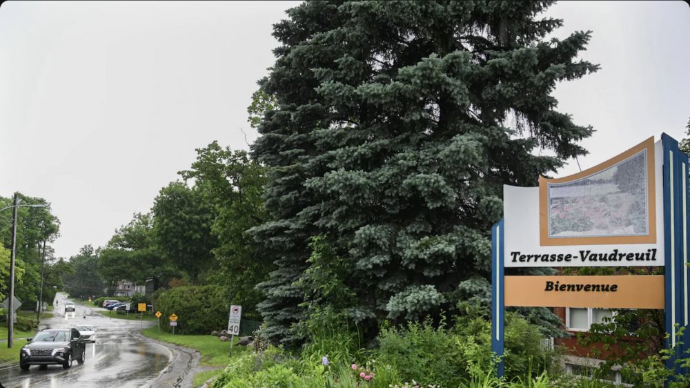 antoniosilva61's tweet photo. En la localidad de Terrasse-Vaudreuil (en Quebec, Canadá), el ayuntamiento aprobó oficialmente la *Declaración Universal de los Derechos del Árbol*, otorgándoles el estatus de SERES VIVOS dotados de DERECHOS LEGALES.
https://t.co/Bj4UNUSVqn https://t.co/WHyHfGltQX
