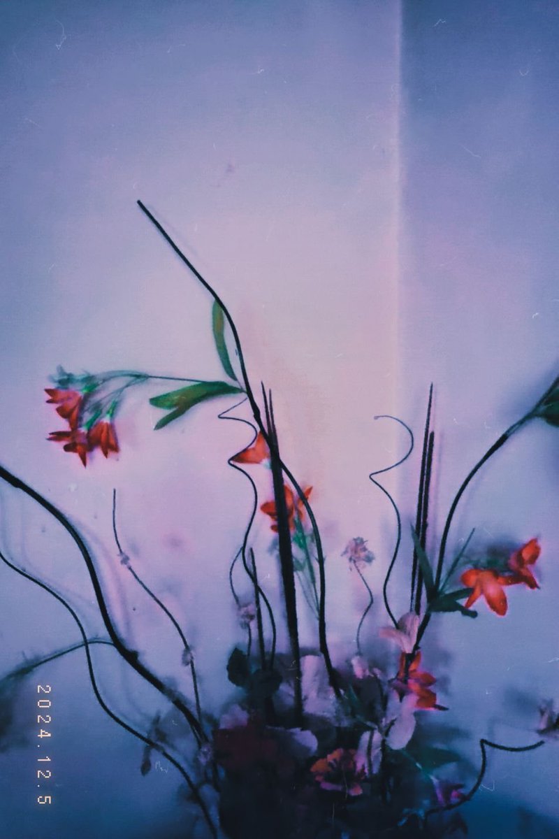 mxrett3's tweet photo. 🌌 https://t.co/jelRpiqAyn