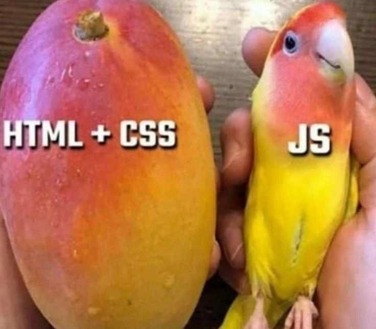 huge_icons's tweet photo. front-end explained https://t.co/EndRT3Sj1B