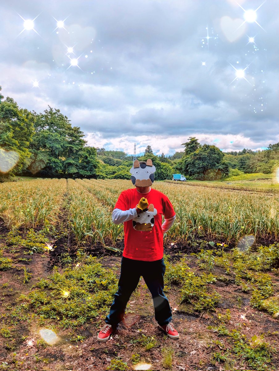 daigoroasahi's tweet photo. おはようございます🐮✨
#青森県 #八戸市 #旧南郷村 でご挨拶🐮✌️
#ヴァンラーレ八戸農業部 様にお呼ばれ🌈
にんにく畑でお仕事を手伝いますわ〜🧄
ワックワクの初体験でウッキウキ🐮💖
翌日の���肉痛も確実ですわ〜🐮💕
本日もよろしくお願いいたします🐮🩷 https://t.co/9Umq8hXedZ