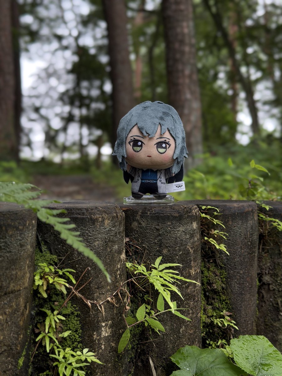 grligfsv04's tweet photo. #初星学園ぬいぬい部 https://t.co/Vjm3Dd2kwB