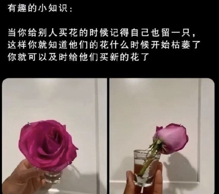 ajoey91_'s tweet photo. 顶级小知识 https://t.co/pQSW3wtzQy