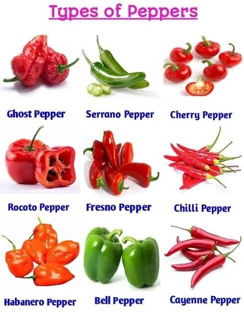 HerbalistHenry_'s tweet photo. CAMEROON PEPPER RED 

 TREATS / REVERSE ⬇️

 1. Osteoarthritis
 2. Rheumatoid arthritis
 3. Diabetic neuropathy
 4. Post-herpetic neuralgia (Shingles pain)
 5. Fibromyalgia
 6. Migraine headaches
 7. Cluster headaches
 8. Tension headaches
 9. Obesity (Weight management)
 10. Metabolic syndrome
 11. Type 2 Diabetes (Blood sugar regulation)
 12. Hypertension (High blood pressure)
 13. Hyperlipidemia (High cholesterol)
 14. Atherosclerosis
 15. Poor cardiovascular circulation
 16. Peptic ulcers (Gastric mucosa protection)
 17. Dyspepsia (Indigestion)
 18. Common cold
 19. Influenza (Flu symptoms)
 20. Nasal congestion
 21. Sinusitis
 22. Allergic rhinitis
 23. Sore throat
 24. Bronchitis
 25. Asthma symptoms
 26. Psoriasis
 27. Eczema
 28. Bacterial gastroenteritis (Food poisoning)
 29. Candidiasis (Yeast infections)
 30. Dermatophytosis (Fungal skin infections)
 31. Constipation
 32. Infectious diarrhea
 33. Nausea
 34. Gout
 35. Muscle sprains and strains
 36. Toothache
 37. Gingivitis (Gum inflammation)
 38. Dysmenorrhea (Menstrual cramps)
 39. Chronic fatigue
 40. Low libido

Preparation & Dosage ⬇️ 
1. POUND AND PREPARE CAMEROON PEPPER RED  LEAVES / FRUIT AS A STEW / SOUP / SAUCE 

- OR - 

2. Get   CAMEROON PEPPER RED  PEPPER / LEAVES   in  Bulk, air-dry and blend bulk to POWDER

STEEP / SOAK  1  (ONE)  Tablespoon of  AFRICAN BIRD'S EYE CHILLI PEPPER / LEAVES  Powder Inside half litre of boiled water, COVER  it and allow infuse for  10 - 15  minutes or until warm enough to drink. 
DO NOT COOK IT!

DRINK WHOLE 
 OR - Filter / Sieve & drink whole liquid extract.
Do this once daily. 

You can take it for  28 days or more ( till you get desired results)
There are no negative side effects! 
⚠️ Do not take along with Pharmaceutical Medications 

KINDLY  REPOST / SHARE  &  Follow @HerbalistHenry_  on  X (Twitter)  🙏