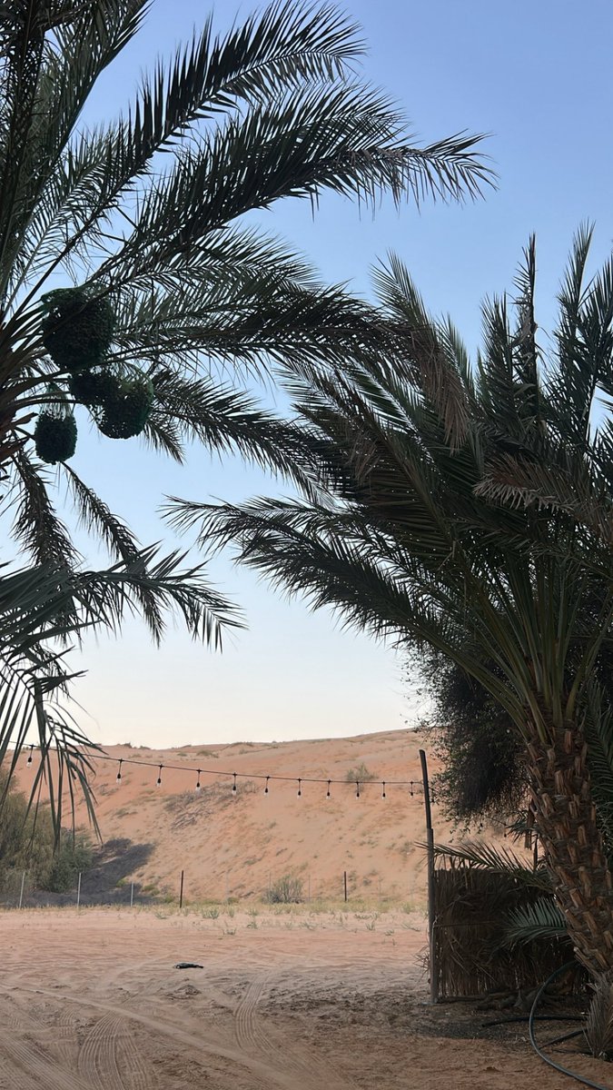 zayedmnsri's tweet photo. صباح الغلا المنقي من الشك والتزوير
صباح الوفا ياروح روحٍ معذبها

غرامك وجور الوقت والبعد والتفكير
بدنيا العنا كيف اتحاشا مخالبها

اطرّش لك اشواقي مع الشكر والتقدير
لو ان بسمة فوادي عنا الوقت ناهبها

ومع اشواق قلبي شعر ماخانه التعبير
بيوته مثل ماجات ماني مرتبها

٥:٥٩ ص https://t.co/ib6uX2E50B