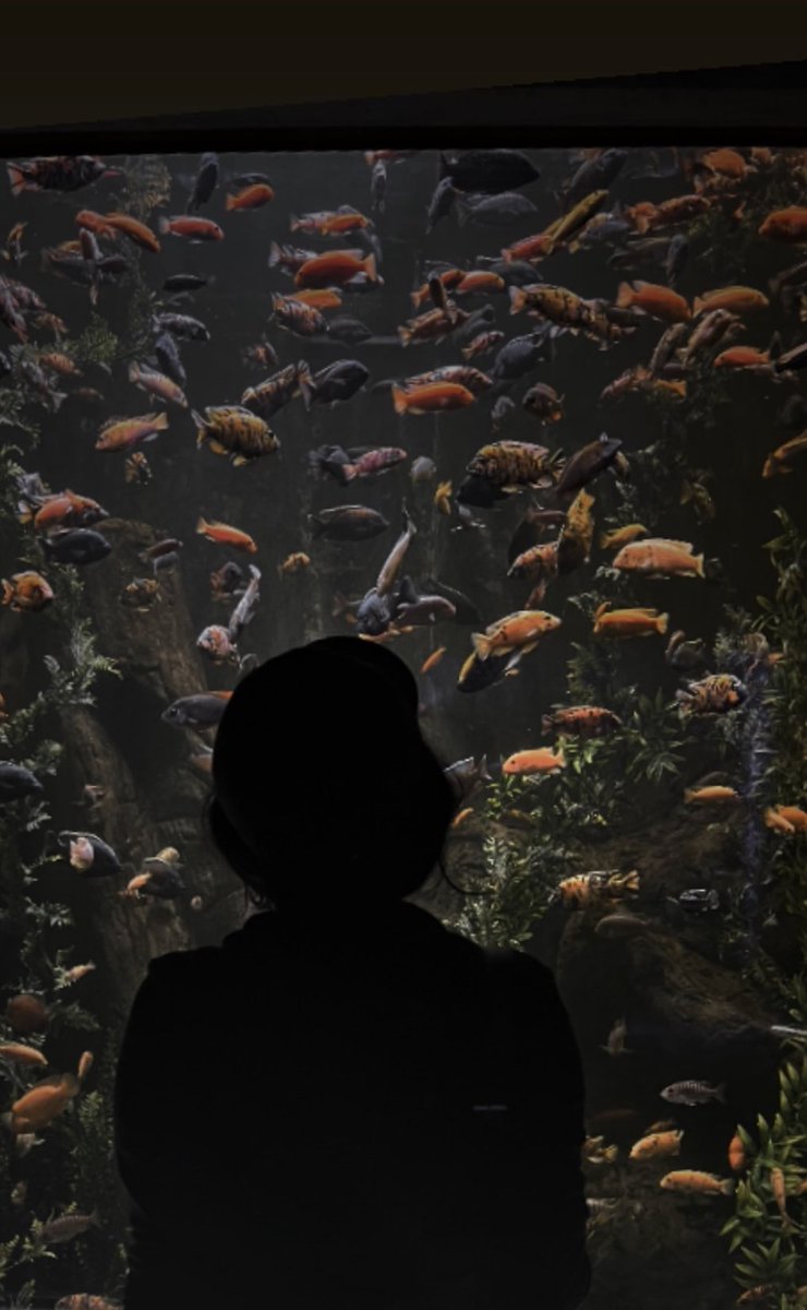 LilyMoonX_'s tweet photo. 🐟🌙 https://t.co/f7xzGqXbTZ
