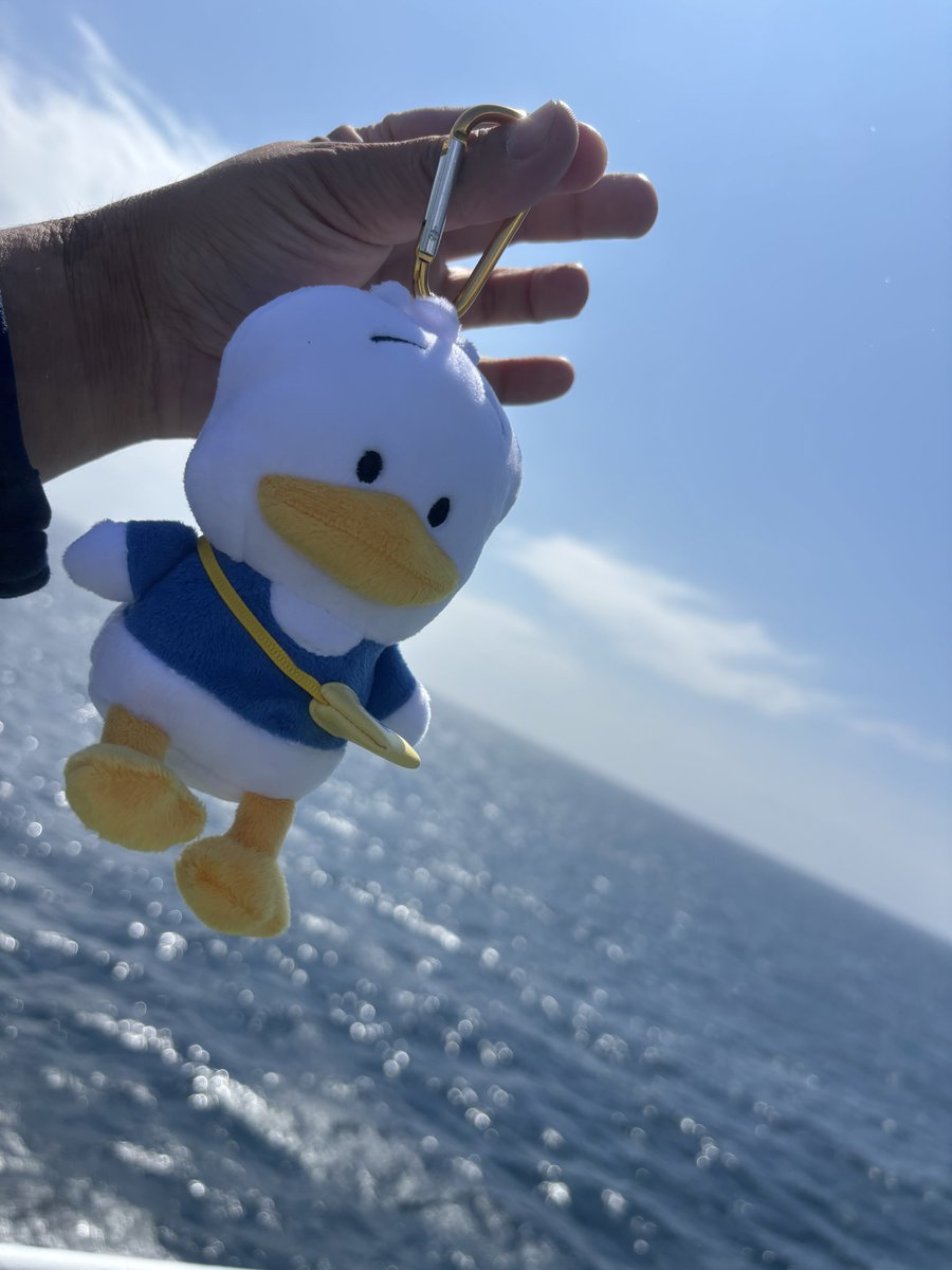 FightersEndless's tweet photo. ペックルめっちゃ上がってるやん！！！

北海道に連れてきた甲斐があったぞ☺️☺️
※妹に託されただけ https://t.co/CYDioVbDq9