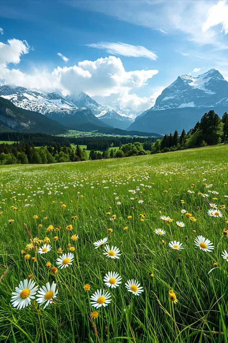 NatureRoot88's tweet photo. Countryside, Switzerland 🇨🇭 https://t.co/EkRN3LkHpu