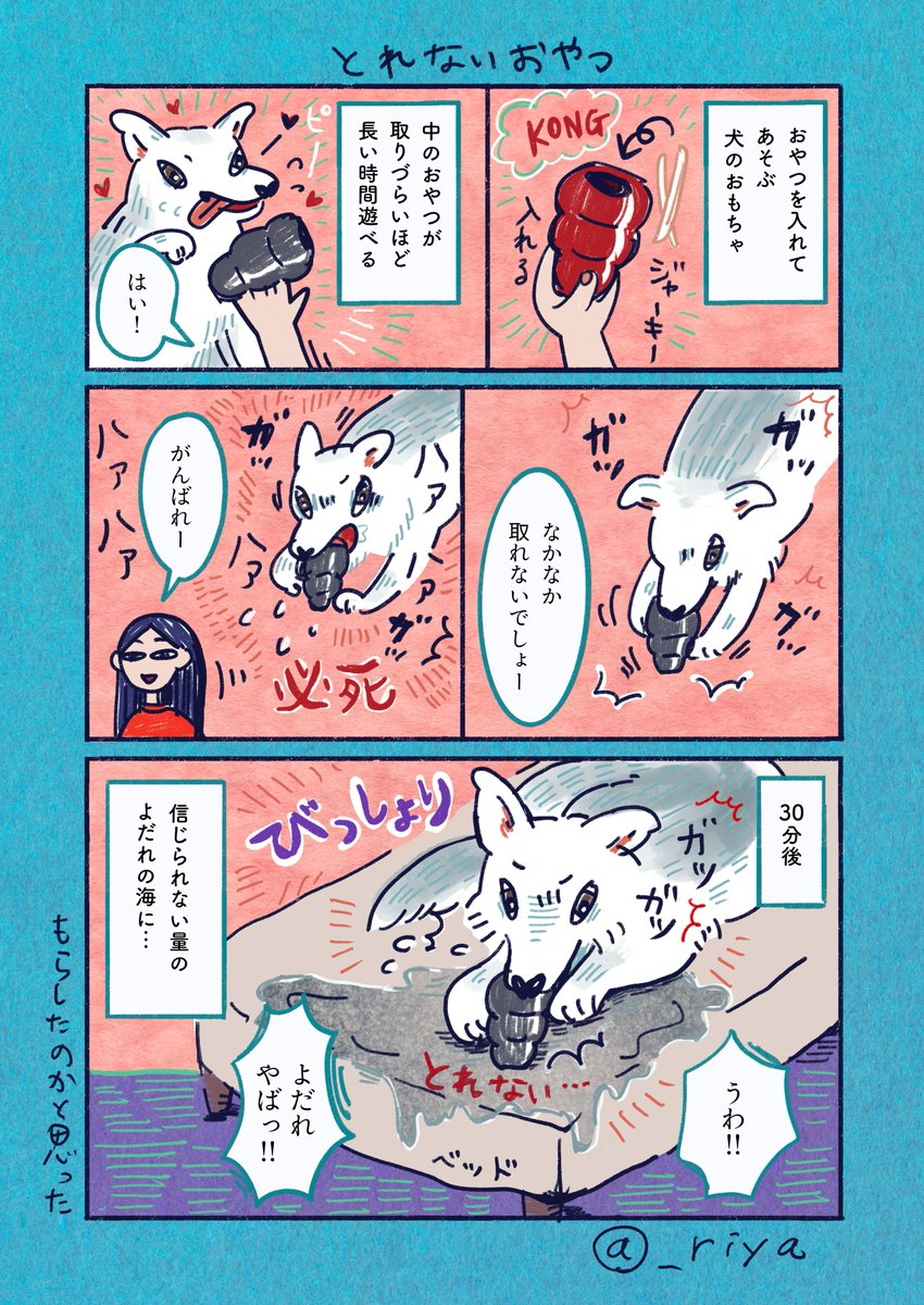 riya / 書籍「おおかみいぬのサン」3/31発売 tweet media