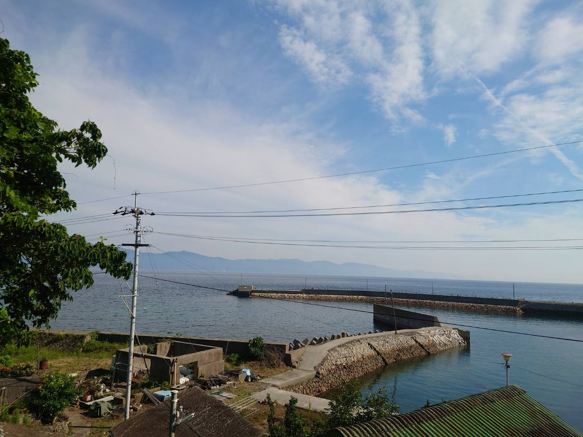 aoshima2020's tweet photo. 台風は去っていったよ(=^・^=)晴れた☀️ニャン

#大洲市青島#青島#青島猫#猫島#瀬戸内猫島#ネコ好き https://t.co/XF4HtgtzyG