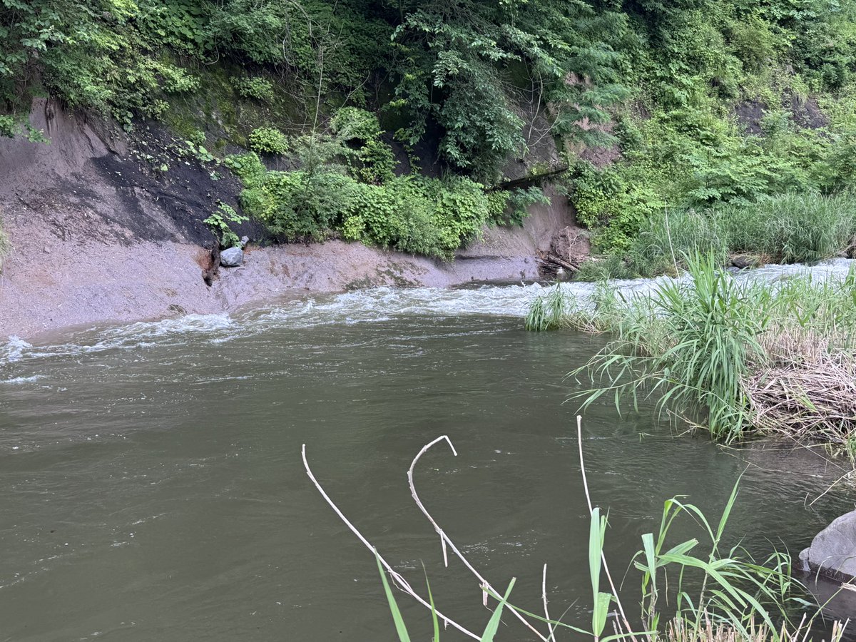 timtim_zwifter's tweet photo. トラウトパーク軽井沢。
連日の雨で増水中。攻め手が浮かばない https://t.co/5oATjwYih2
