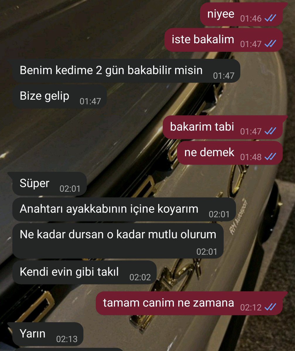 kiziyorumm's tweet photo. 2 gun boyunca sevdiren kediye bakicilik yapicam cok heyecanliyim https://t.co/En1RvSEsNq