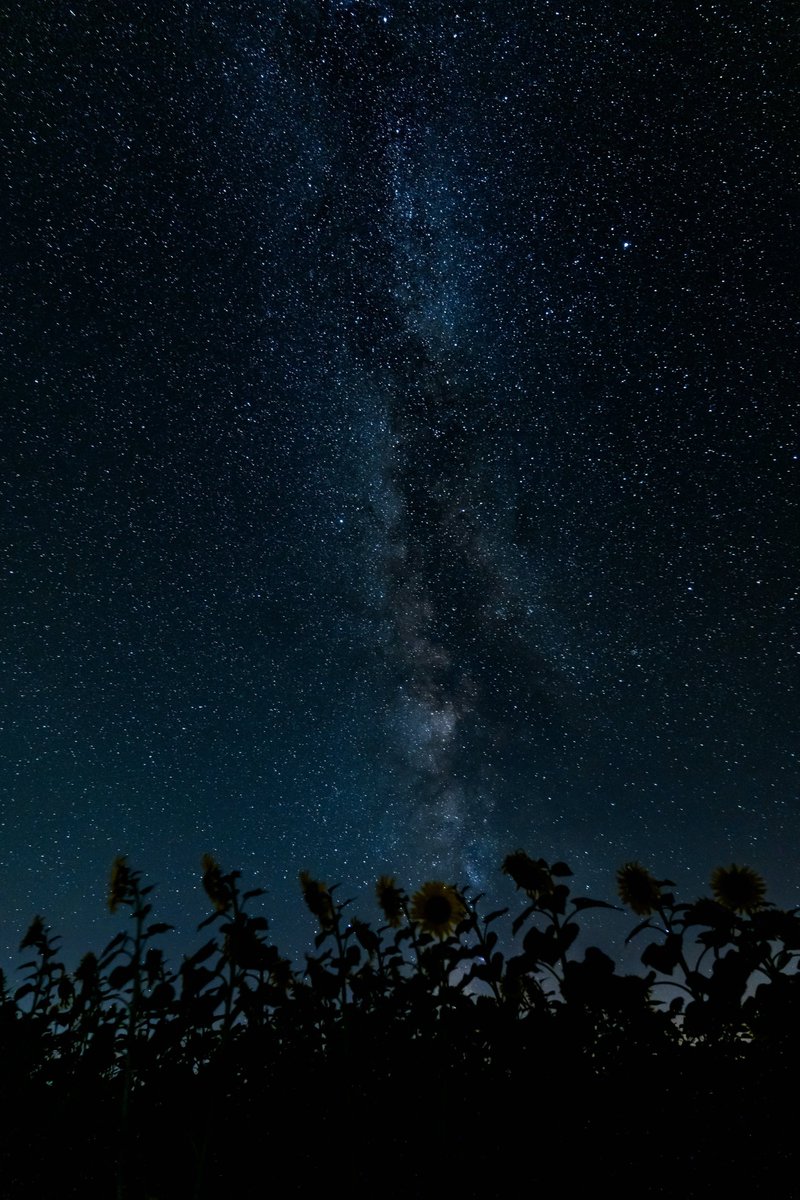 astropics's tweet photo. .  *    .      • .  .      :    .          • .  *   .     .      *    •       .     .   *       •         .       🌙   .  *.       *. •      .     *         *.     .      •.       *.    • * .    .           *.       •*.    •  .       .*   .        *.       • .    . * • https://t.co/SYDb0C3Po3