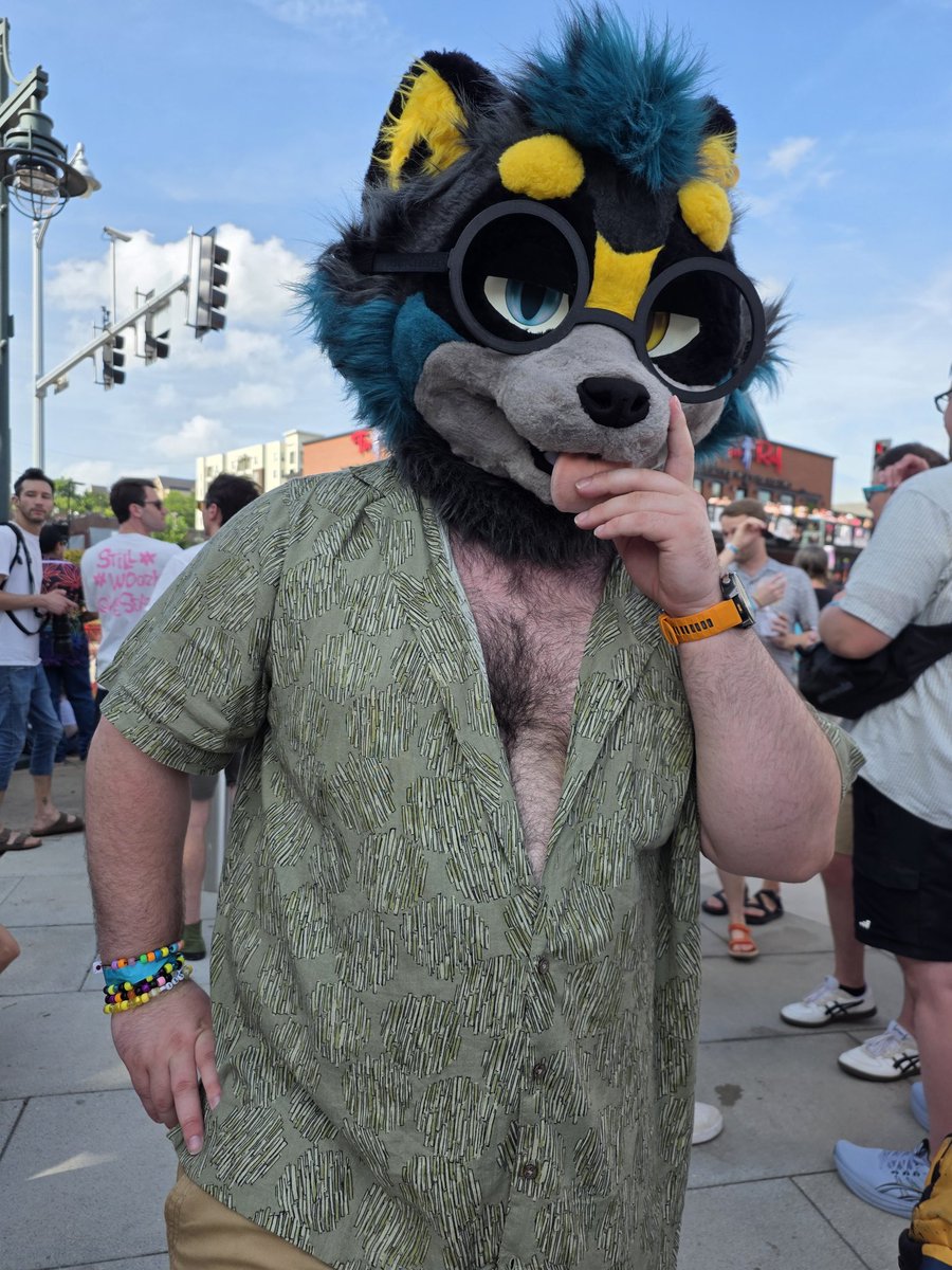 RacksTheRaccoon's tweet photo. Fayetteville pride was a blast like usual! Im terrible about taking pics but it was nice to meet some of you critters :3 https://t.co/vxdVkr6h4J
