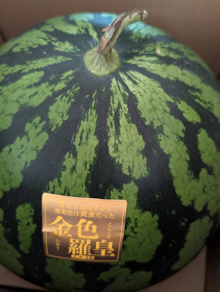 danyako's tweet photo. 今年もありがとう金色羅皇…
年一のデカすぎスイカ、毎年どうやってカットしたんだっけなと毎回思うのだ。(姉上がこれからカットしに来てくれる) https://t.co/jHnsJqnVha