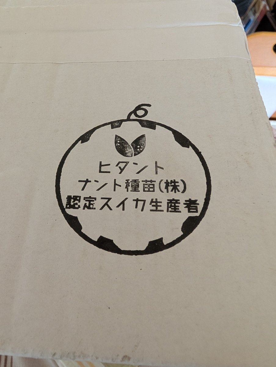 danyako's tweet photo. 今年もありがとう金色羅皇…
年一のデカすぎスイカ、毎年どうやってカットしたんだっけなと毎回思うのだ。(姉上がこれからカットしに来てくれる) https://t.co/jHnsJqnVha