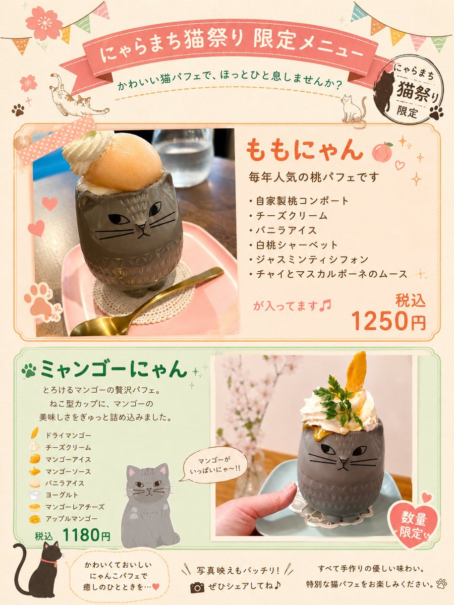 おはようございます⛅️お天気少し良くなってきましたね！ 猫祭り終了