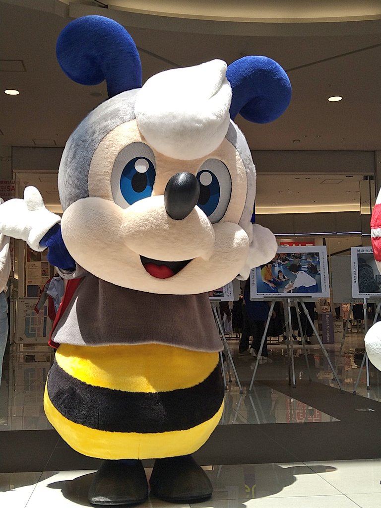 pilorinn's tweet photo. スビーくん、イオンモール福岡に登場🐝 https://t.co/OKOGkAMf70