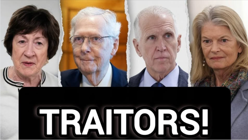14Michau's tweet photo. 100%
#MAGA https://t.co/PyklEDxv8n