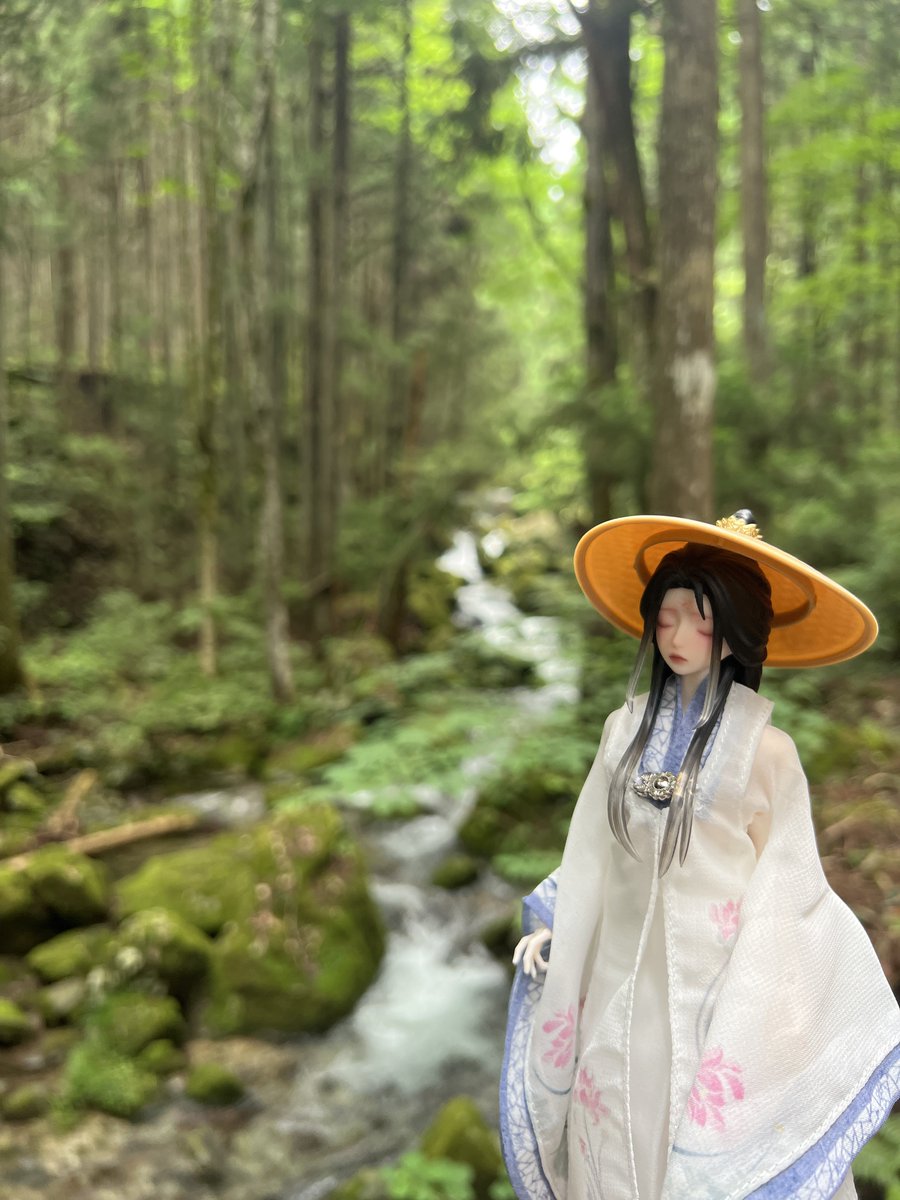 cikuwamaru's tweet photo. 🌳 https://t.co/BT115vc0HI