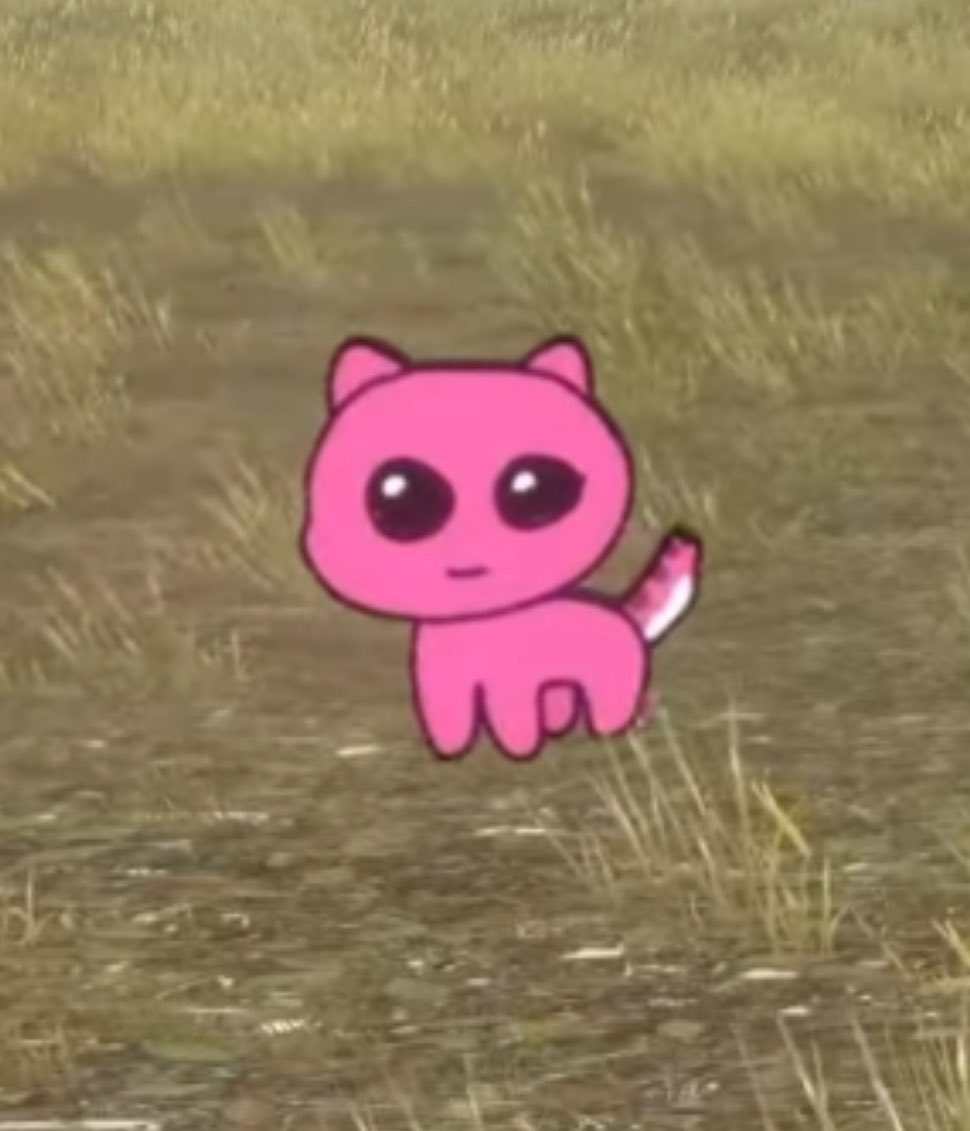 VanityUwU's tweet photo. RAORA AUTISM CREATURE????? https://t.co/cyH0n6uy7p
